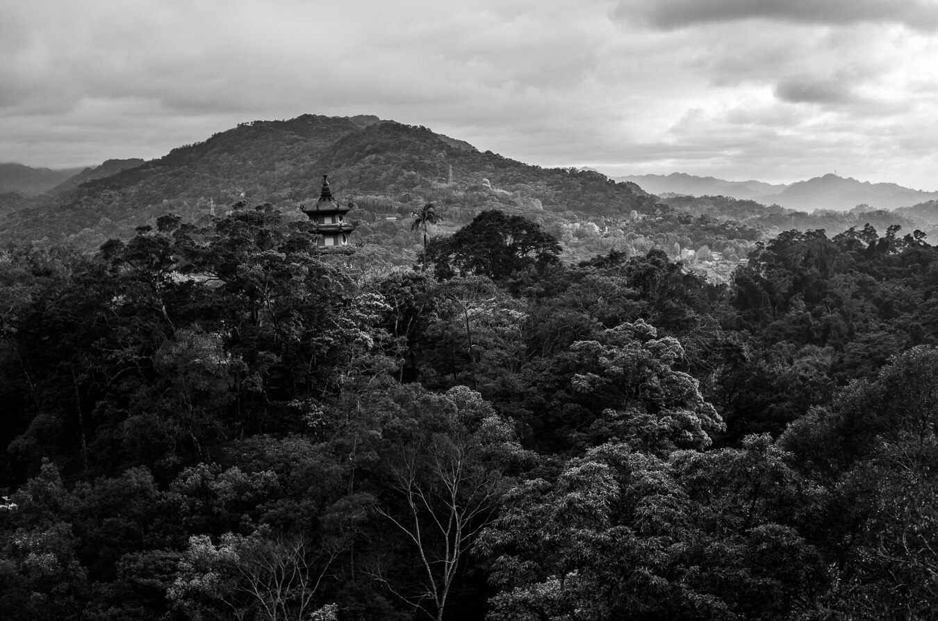 The image is a black and white, high-angle view of a lush, forested mountain landscape under a cloudy sky. In the mid-ground, a multi-tiered pagoda-style building stands prominently amongst the dense trees. Its dark roof features intricate details, and its white walls provide a stark contrast to the surrounding greenery. The pagoda is nestled on a hillside, with a lone palm tree to its right.