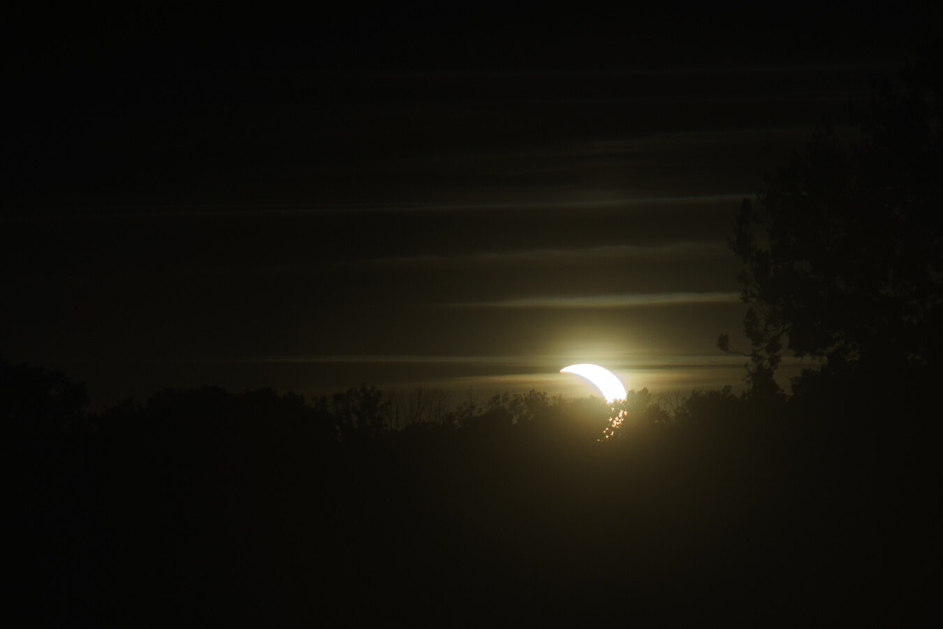 The image depicts a partial solar eclipse occurring low on the horizon, shortly before sunset. The scene is dominated by dark, silhouetted trees forming a jagged line across the lower portion of the frame. Above the treeline, the sky is a deep, dark hue with subtle horizontal bands of lighter tones, suggesting thin clouds or atmospheric haze.