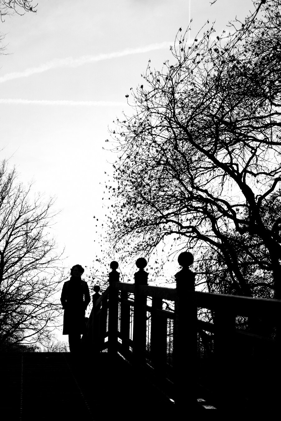 The image is a stark black and white silhouette, capturing a scene on a bridge. The dominant elements are the silhouette of a person and the intricate branches of trees against a bright sky.

In the foreground, a figure, silhouetted against the bright sky, stands on a pathway leading up to a bridge. The person appears to be wearing a coat and a hat, with their face obscured. They are positioned towards the left of the frame.

The bridge itself is a prominent feature, rendered as a solid black silhouette. It has a railing with decorative, spherical finials on top of posts. The railing and posts create a series of strong vertical and horizontal lines, broken by the spaces between the balusters, which allow the bright sky to show through. Shadows cast by the bridge and its structure are visible on the pathway.